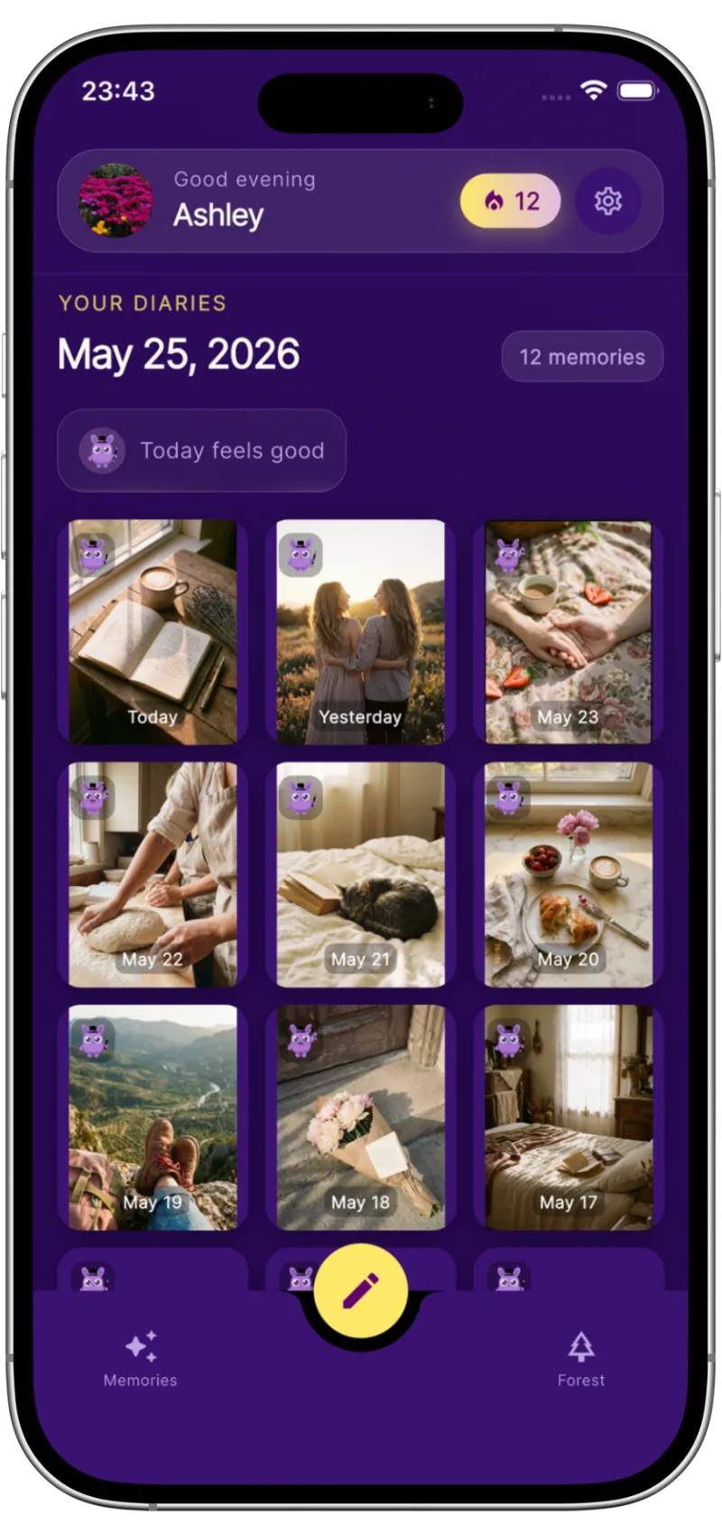 Pocus Diary App Interface